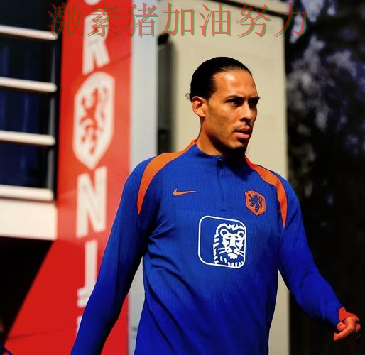 荷兰阵容升级让冲冠希望持续升温