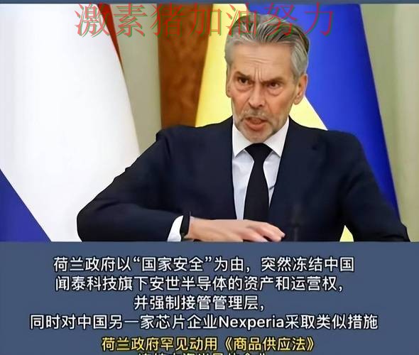 荷兰核心爆发赛后讨论持续升温