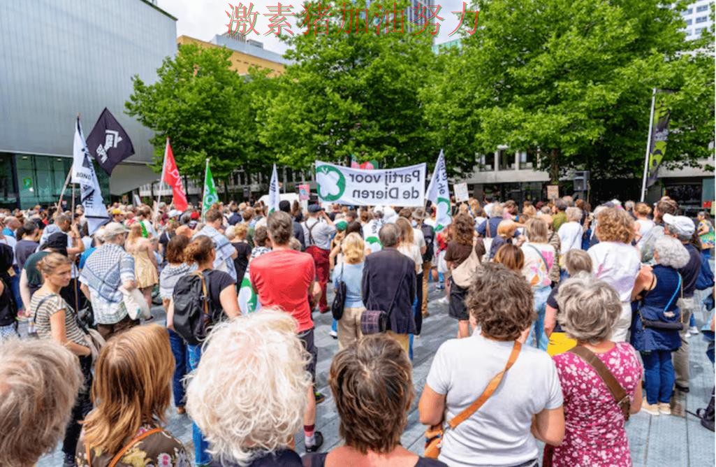 荷兰核心爆发赛后讨论持续升温